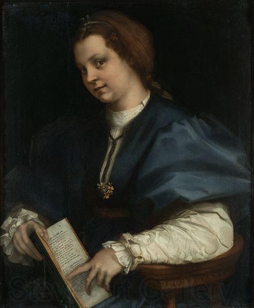 Andrea del Sarto Lady with a book of Petrarch's rhyme Germany oil painting art